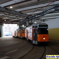 4821 7 DePrecotto 09