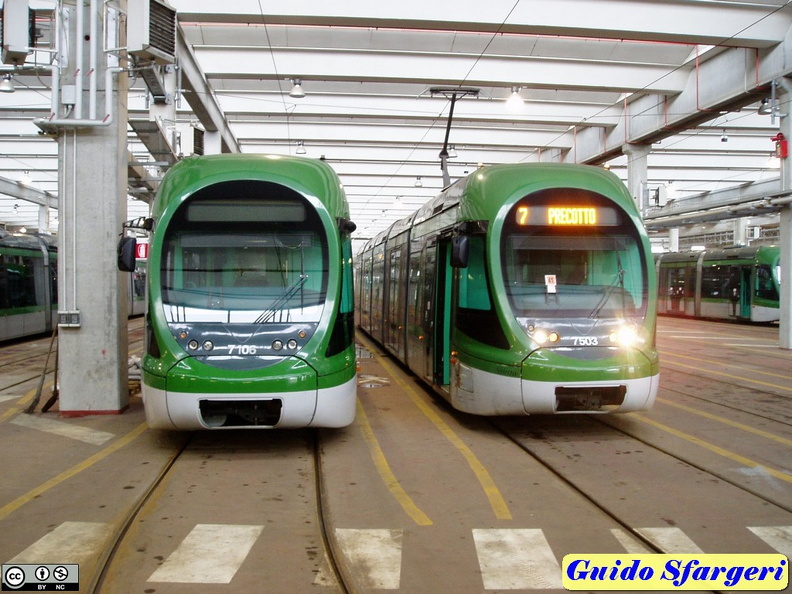 7106e7503_Precotto_09.jpg