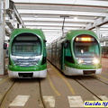 7106e7503 Precotto 09