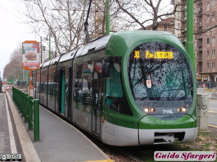 7116 31 Testi 10