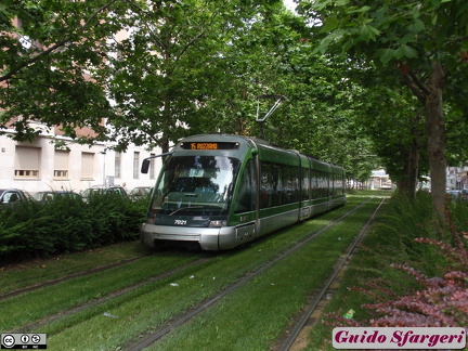 7021 15 pezzotti 10