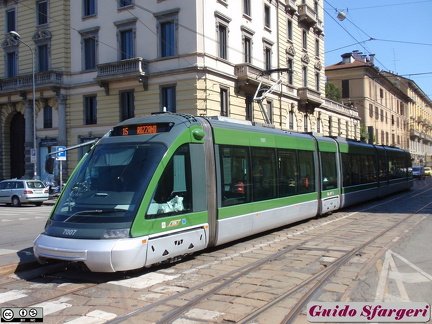 7007 15 coldilana 10