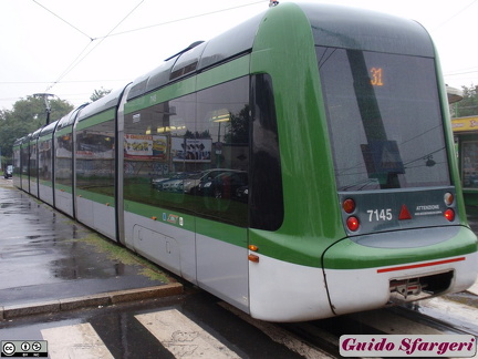 7145 31 ospmaggiore 10