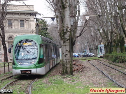 7126 4 buonaparte 11