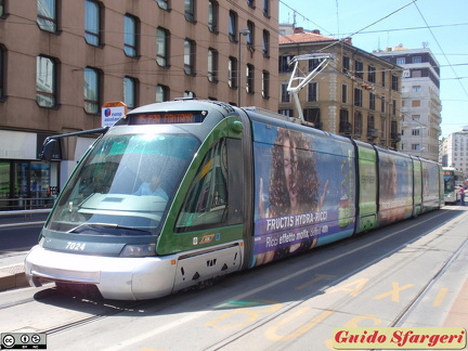 7024 15 larga 2 11